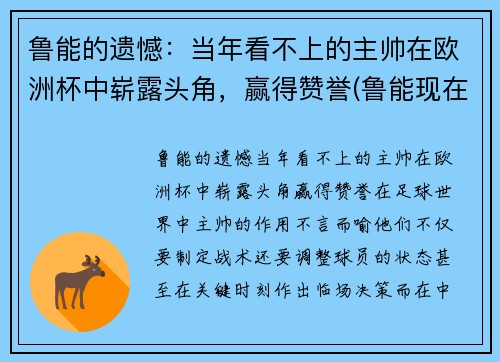 鲁能的遗憾：当年看不上的主帅在欧洲杯中崭露头角，赢得赞誉(鲁能现在的主帅是谁)